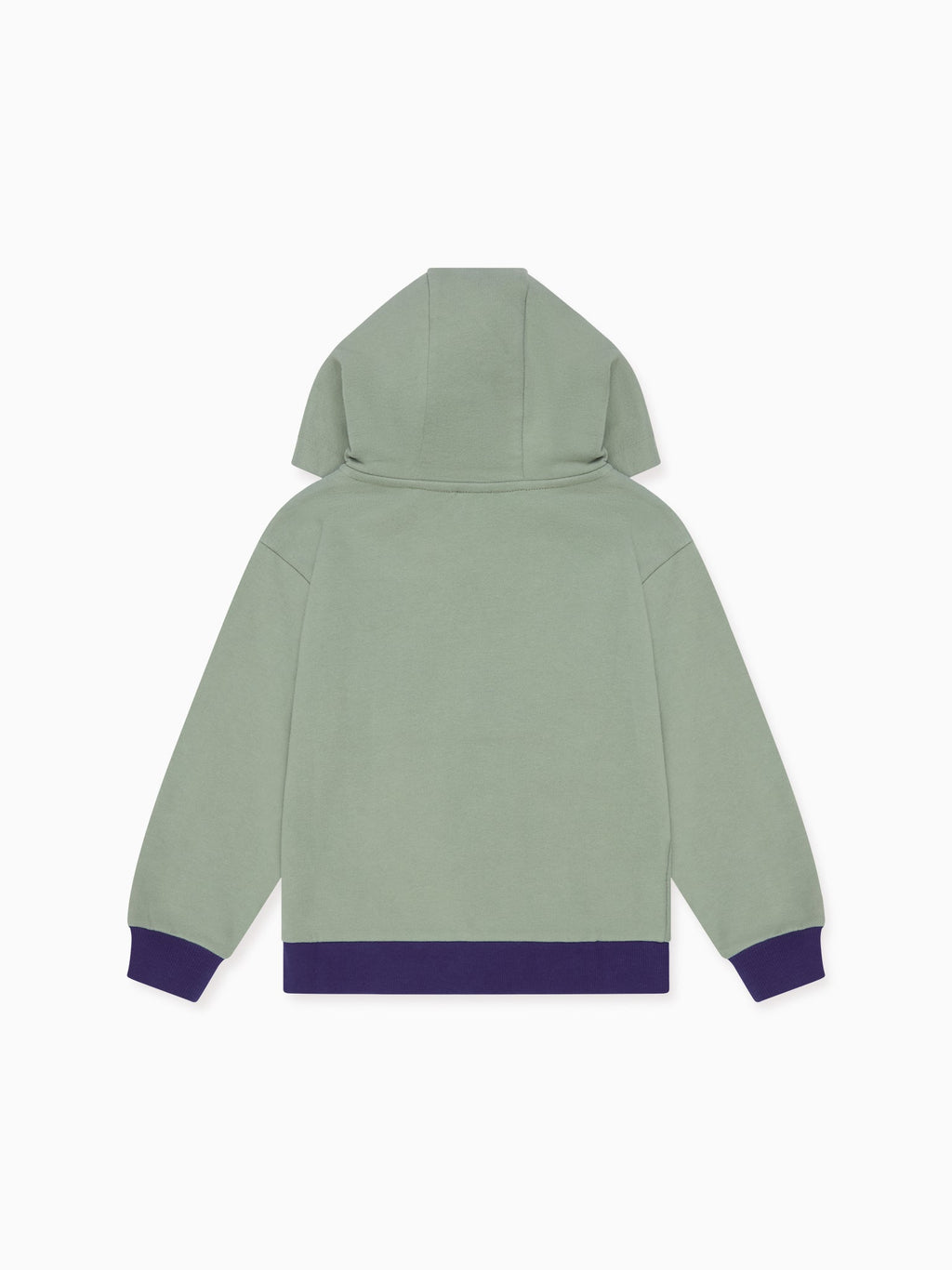 Dusty Sage Boy Hooded Sweat