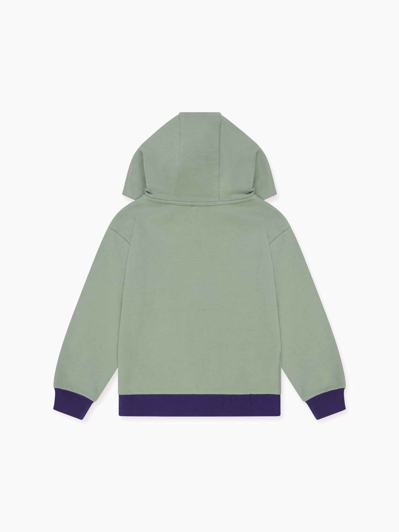 Dusty Sage Boy Hooded Sweat